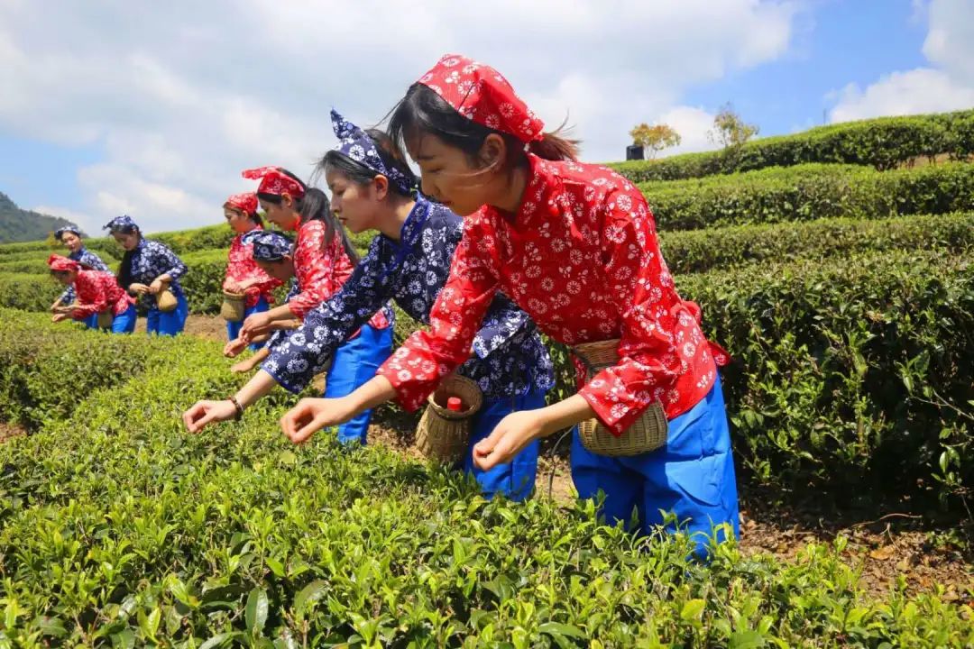 爱茶的你，知道多少关于茶的节日？