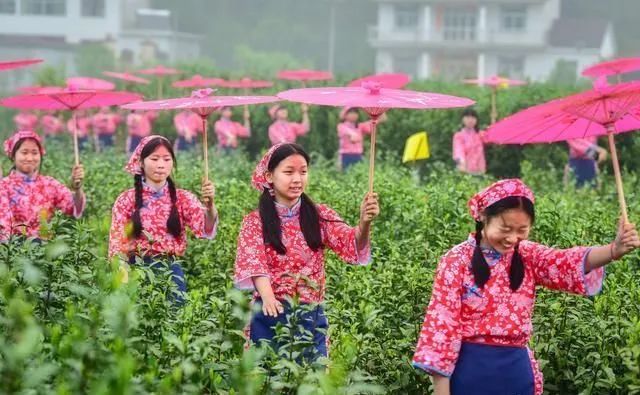 爱茶的你，知道多少关于茶的节日？