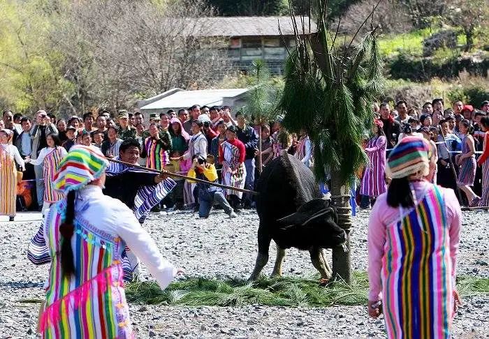 牛祭天