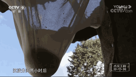 豌豆粉