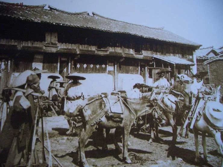 滇藏茶马古道的马帮们，过着这样的人生