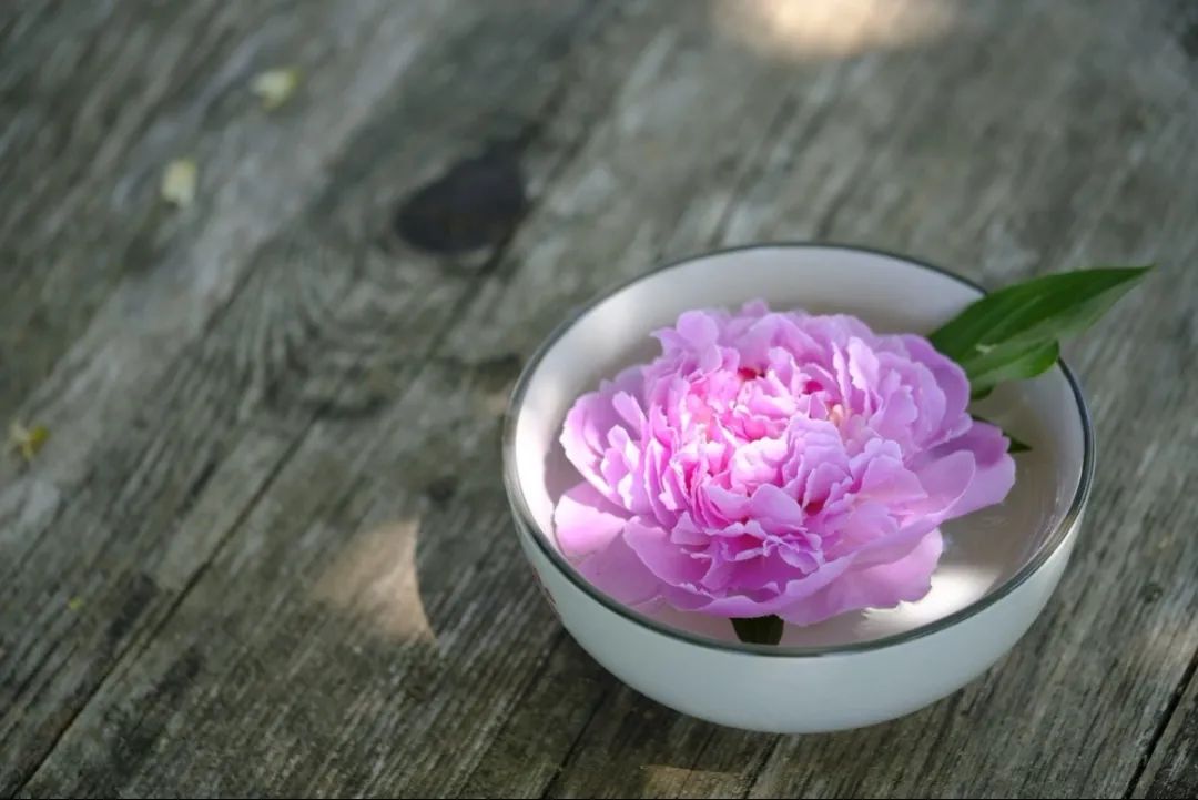喝花茶有什么用，怎么喝才是最好的？