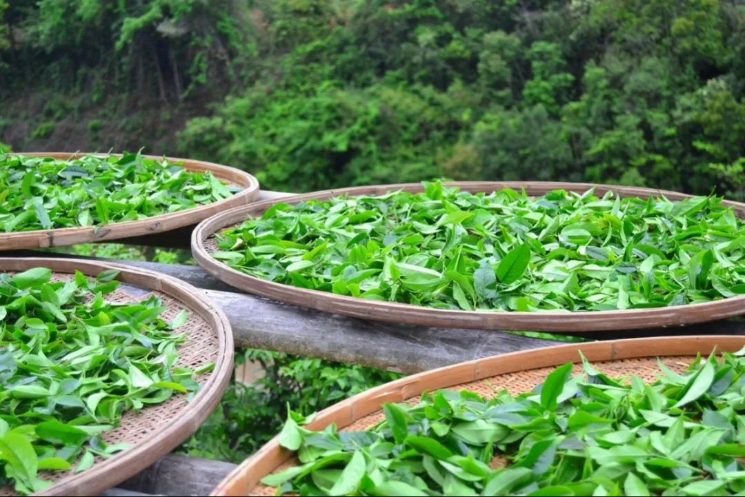 喝花茶有什么用，怎么喝才是最好的？