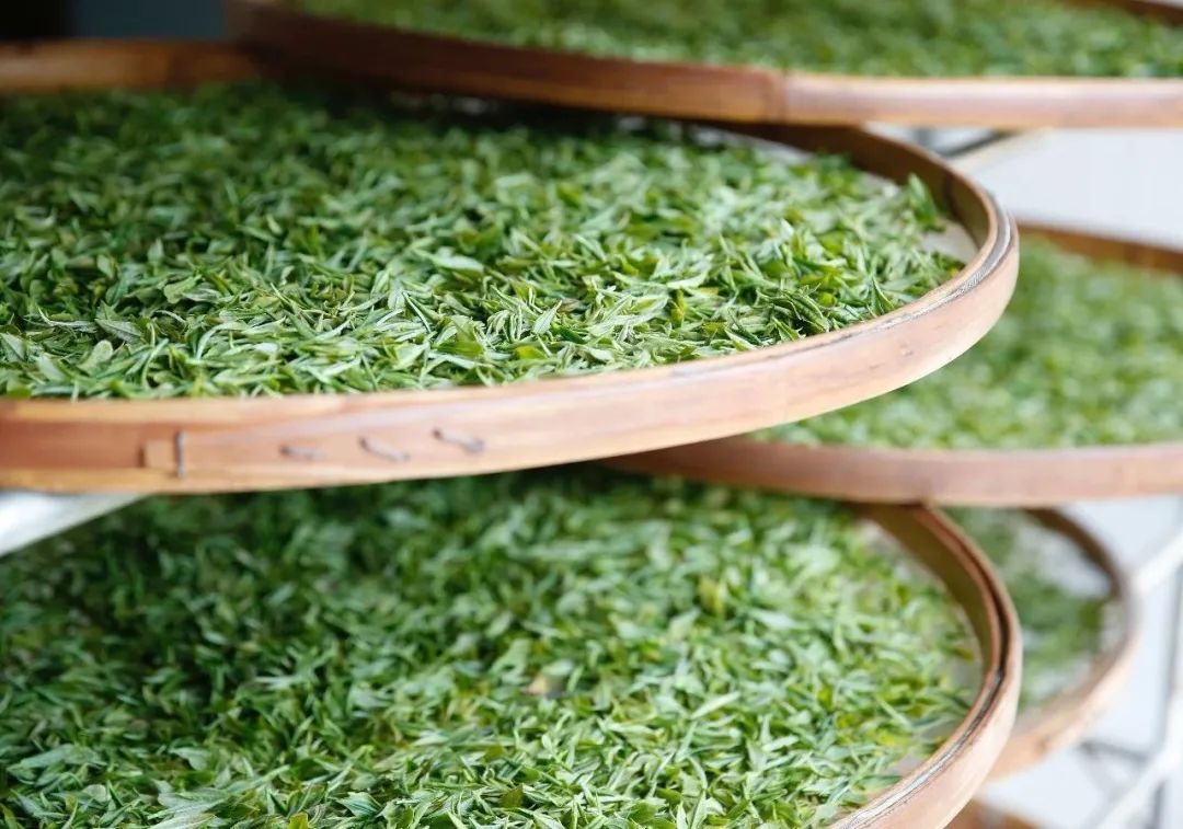 昆明历史名茶，一壶就能香到街尾～