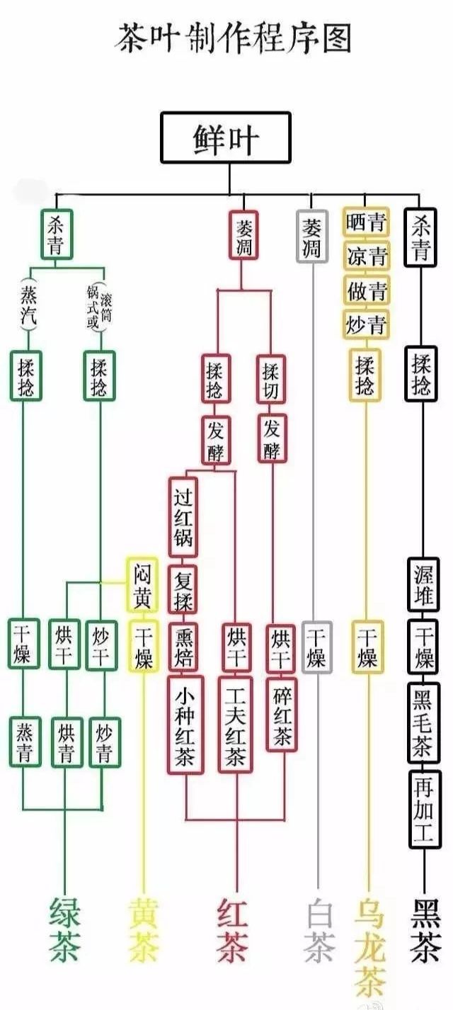 爱茶的你一定要了解，茶叶是怎么制成的