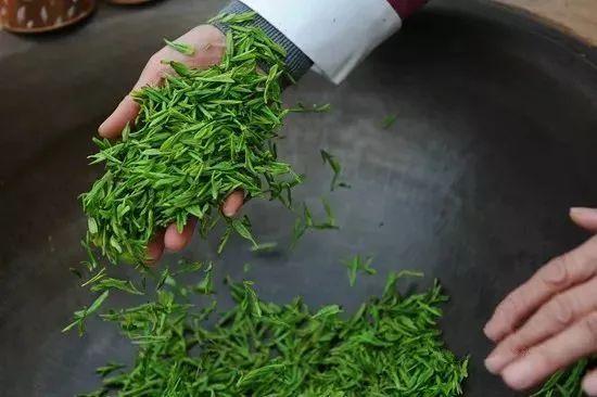爱茶的你一定要了解，茶叶是怎么制成的
