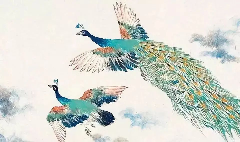 画中孔雀