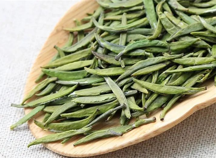 从茶名到名茶，雀舌究竟有何能耐？