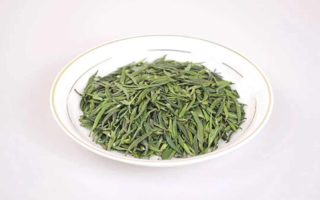 从茶名到名茶，雀舌究竟有何能耐？