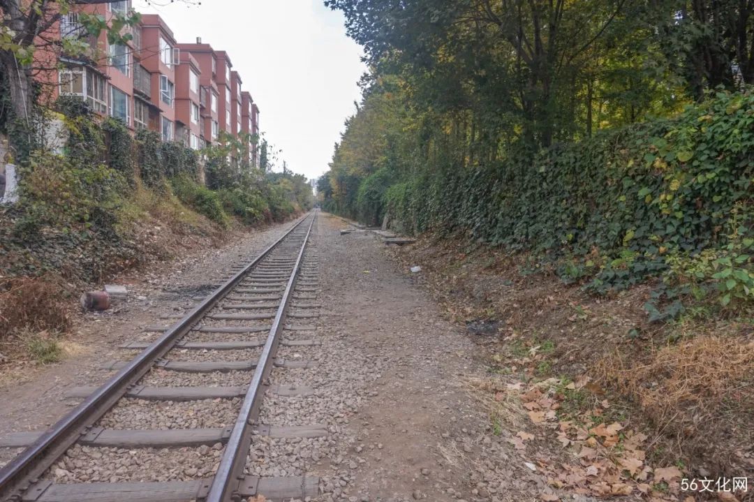 西站旧书交易市场,昆明旧时光里的老书房 西站旧书交易市场,昆明旧时光里的老书房