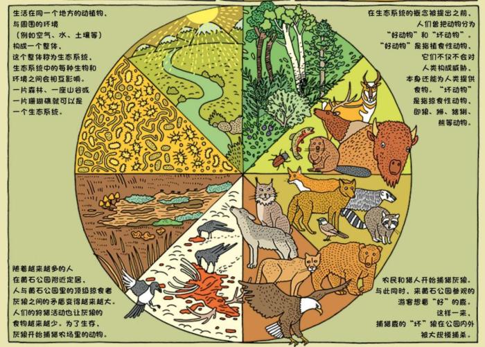 童书《世界国家公园》解锁自然界的神奇百态