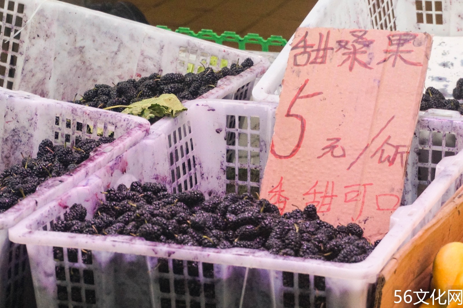 五块一斤的桑葚 五块一斤的桑葚