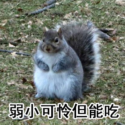 弱小可怜但能吃