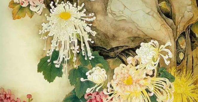 菊花