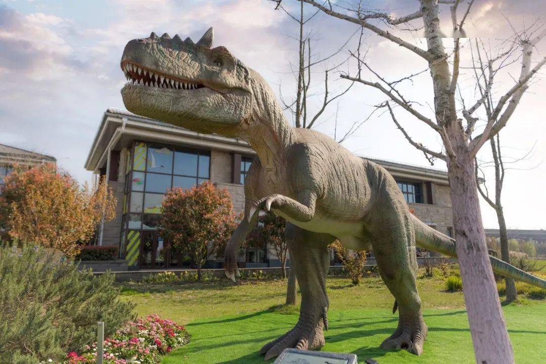 霸王龙模型 霸王龙模型