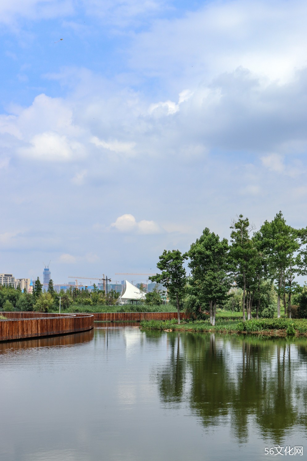 斗南湿地公园有多美随手一拍都是美景