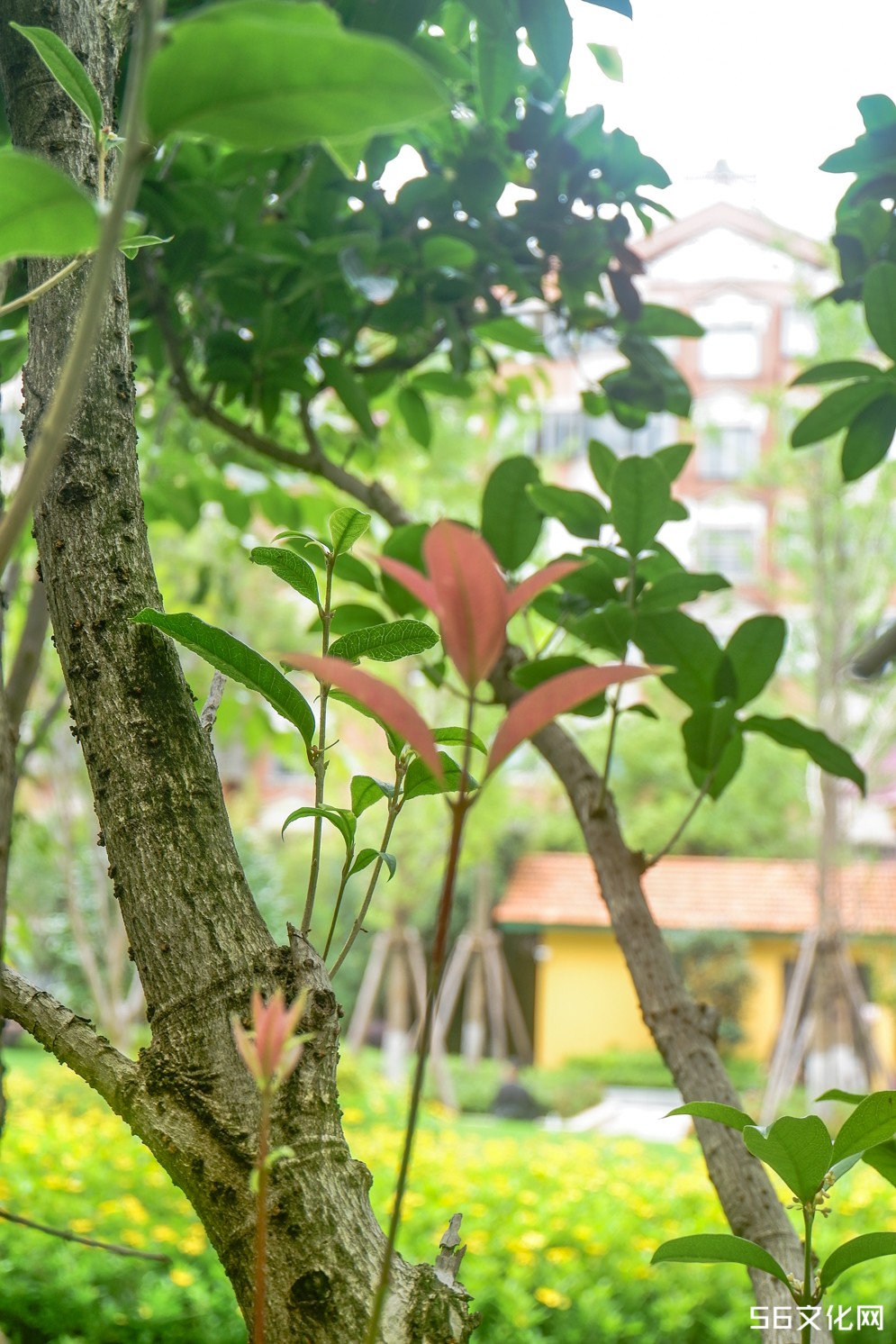 宅院一角 宅院一角