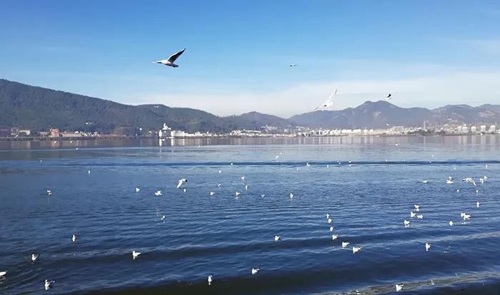 微信图片_20211015151833.jpg