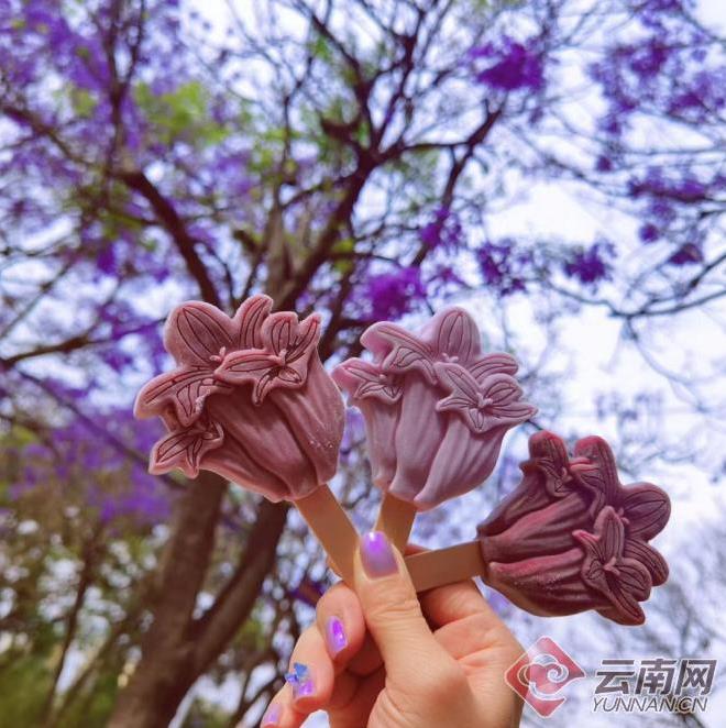 微信截图_20220506110645.jpg