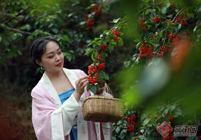 微信截图_20220506110715.jpg