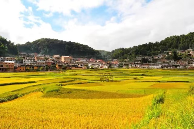 马洒村