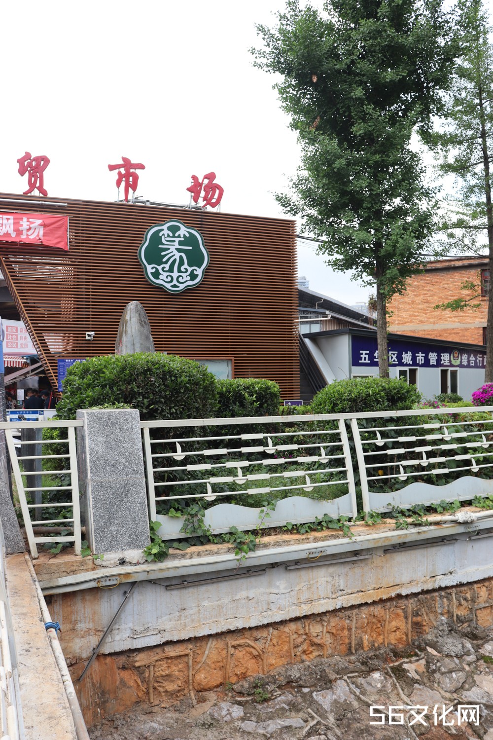 篆新.jpg