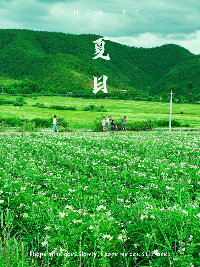 微信截图_20220706150706.jpg