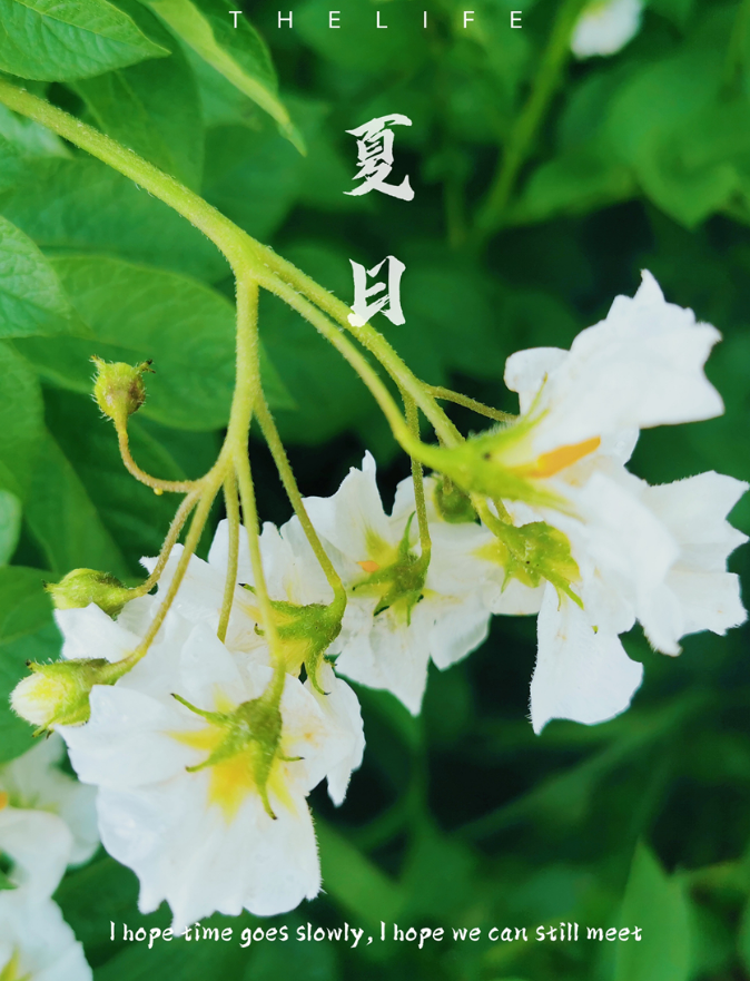 微信截图_20220706151324.jpg