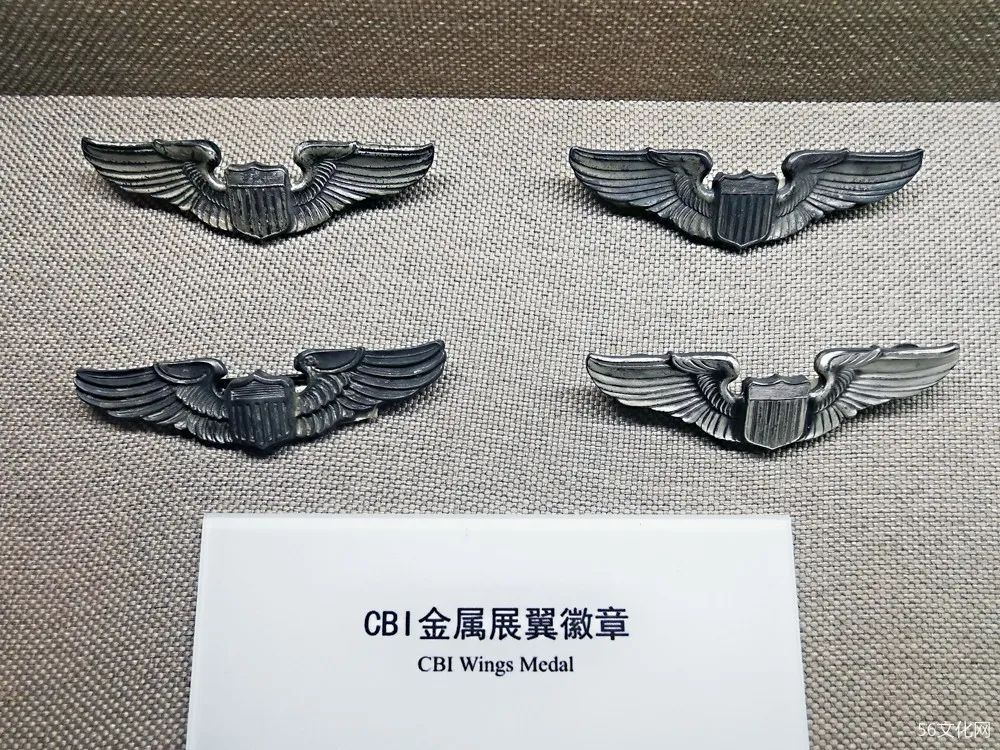 CBI金属展翼徽章