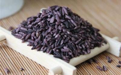 紫米：北回归线上的哈尼人最爱的主食