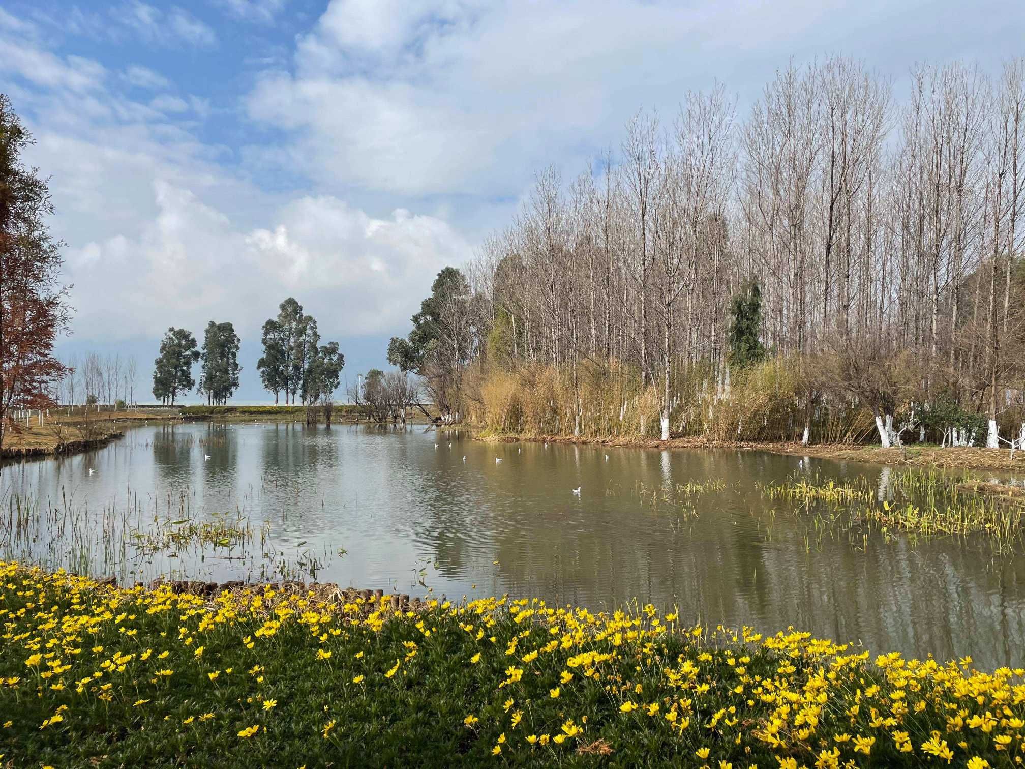 滇池国际城市湿地公园